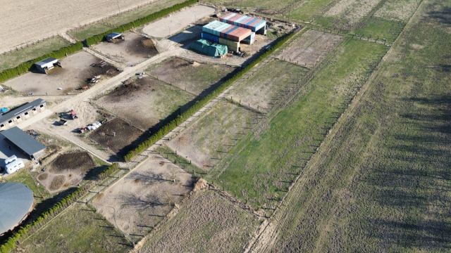 dom wolnostojący, 2 pokoje Terenia. Zdjęcie 9