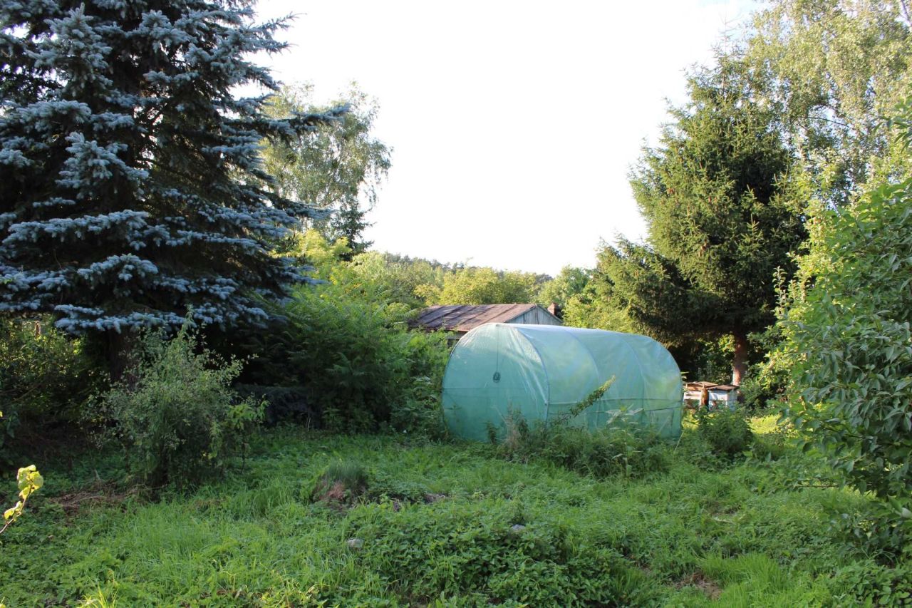 Działka rod Piła, ul. Koszycka. Zdjęcie 4