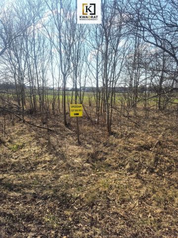 Działka budowlana Stanisławów, ul. Wołomińska. Zdjęcie 3