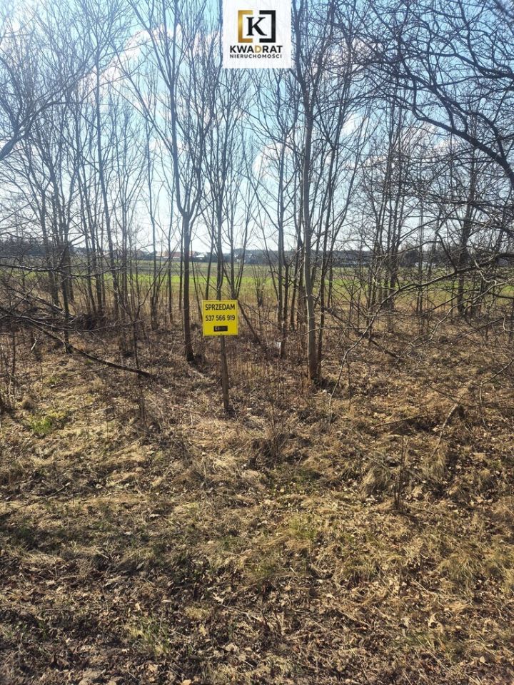 Działka budowlana Stanisławów, ul. Wołomińska. Zdjęcie 3