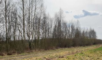 Działka rekreacyjna Zgórze. Zdjęcie 3