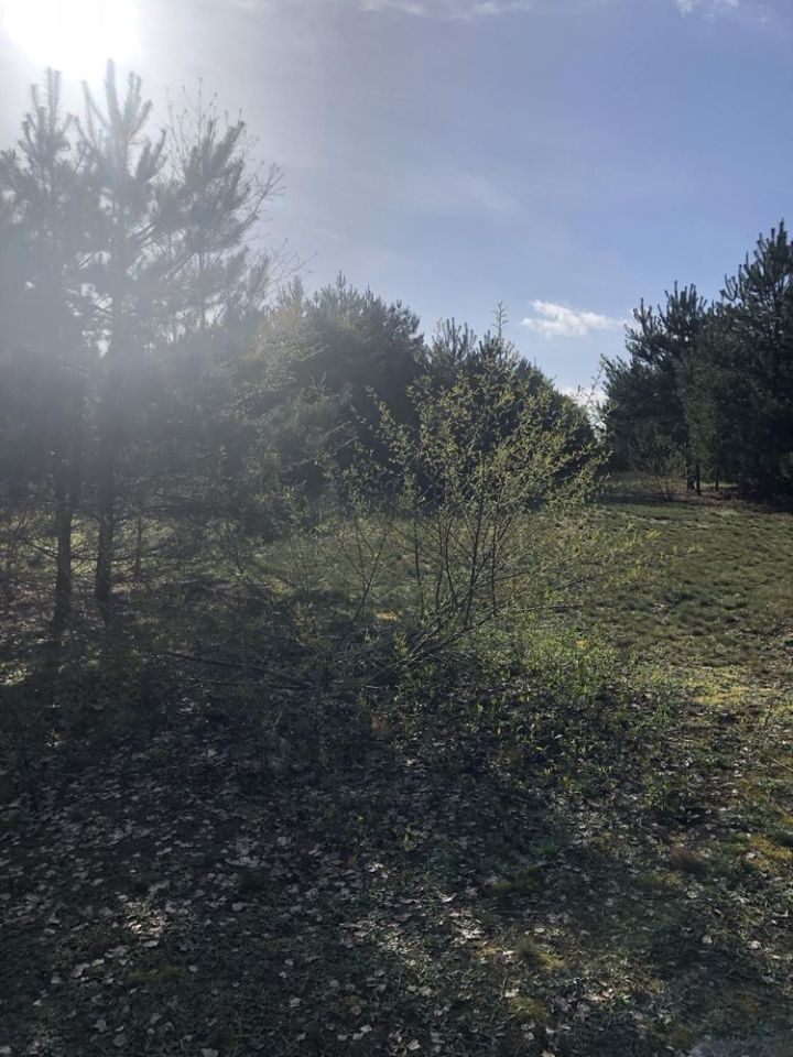 Działka rekreacyjna Nowe Miasto. Zdjęcie 6