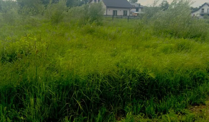 Działka budowlana Malinowice, ul. Promienna