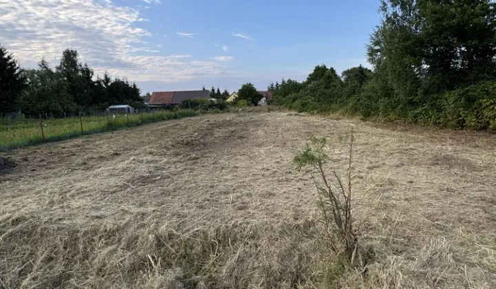 Działka budowlana Brzezina, ul. Willowa