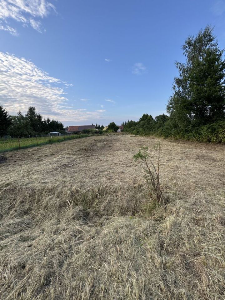 Działka budowlana Brzezina, ul. Willowa