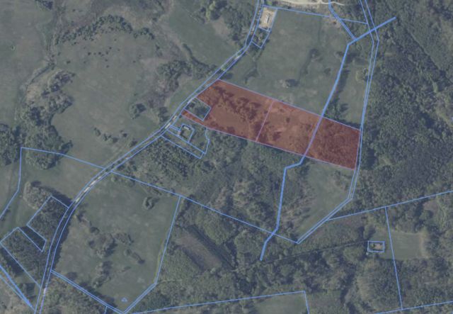 Działka rolna Mariankowo. Zdjęcie 7