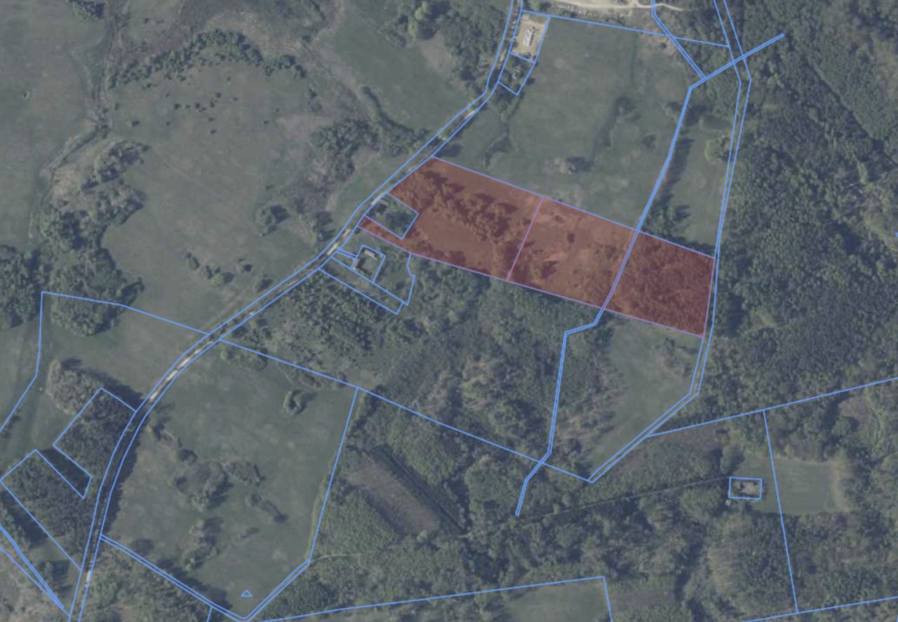 Działka rolna Mariankowo. Zdjęcie 7