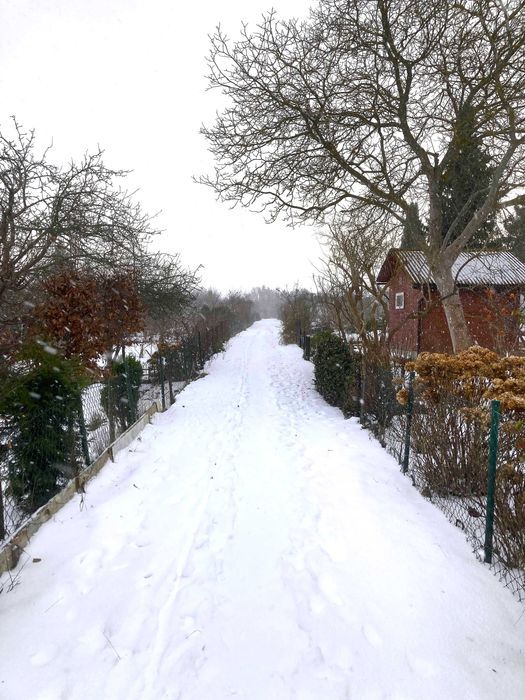 Działka rod Gdynia Mały Kack, ul. Spokojna. Zdjęcie 4