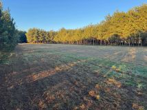 Działka budowlana Zimnica. Zdjęcie 4