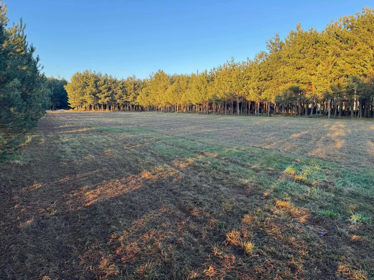 Działka budowlana Zimnica. Zdjęcie 5