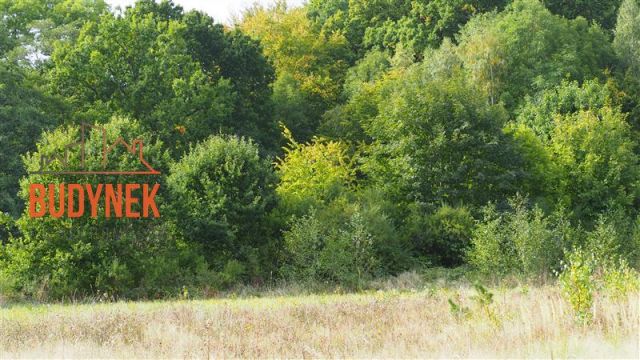 Działka rolna Karsino. Zdjęcie 12