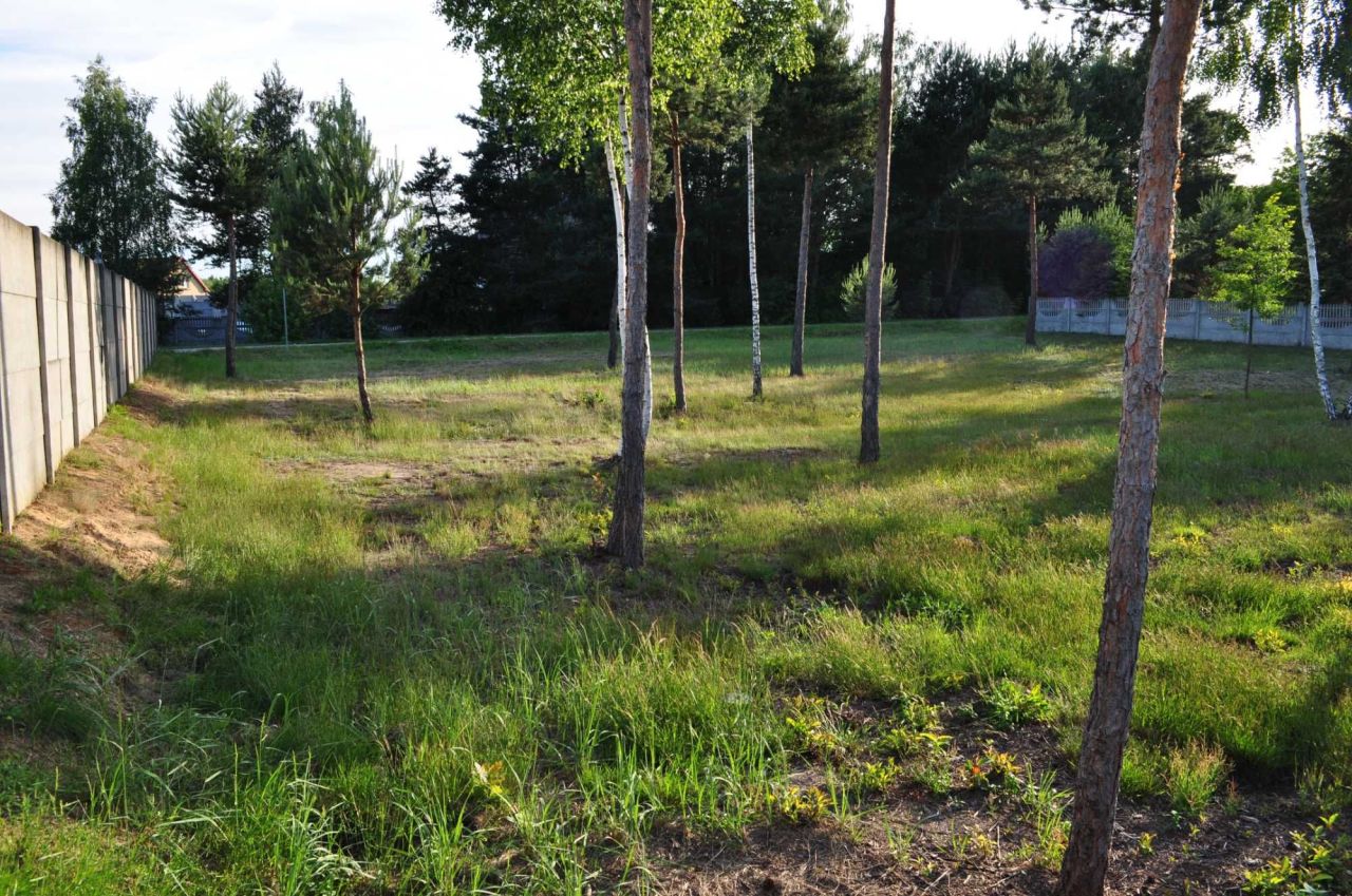 Działka budowlana Słopiec Rządowy-Kolonia. Zdjęcie 8