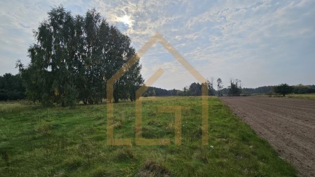 Działka siedliskowa Bełchów. Zdjęcie 5