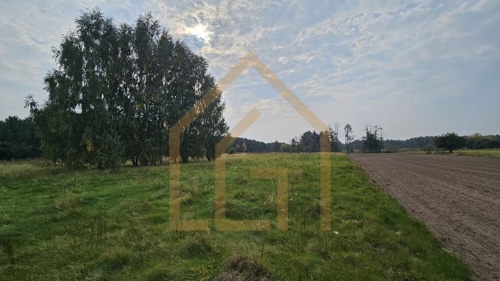 Działka na sprzedaż 
 
 Bełchów - Więcej