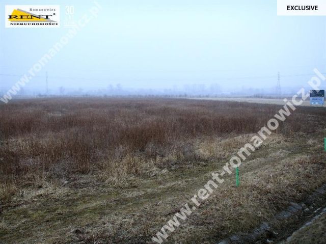 Działka rolna Reptowo. Zdjęcie 2