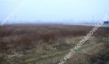 Działka rolna Reptowo