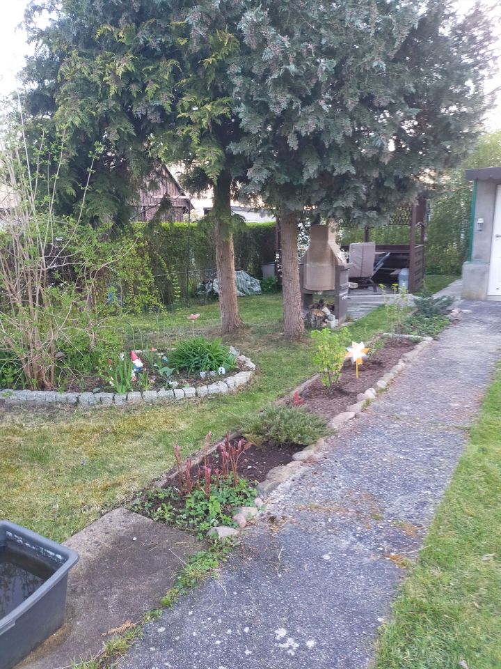 Działka rod Polkowice. Zdjęcie 4