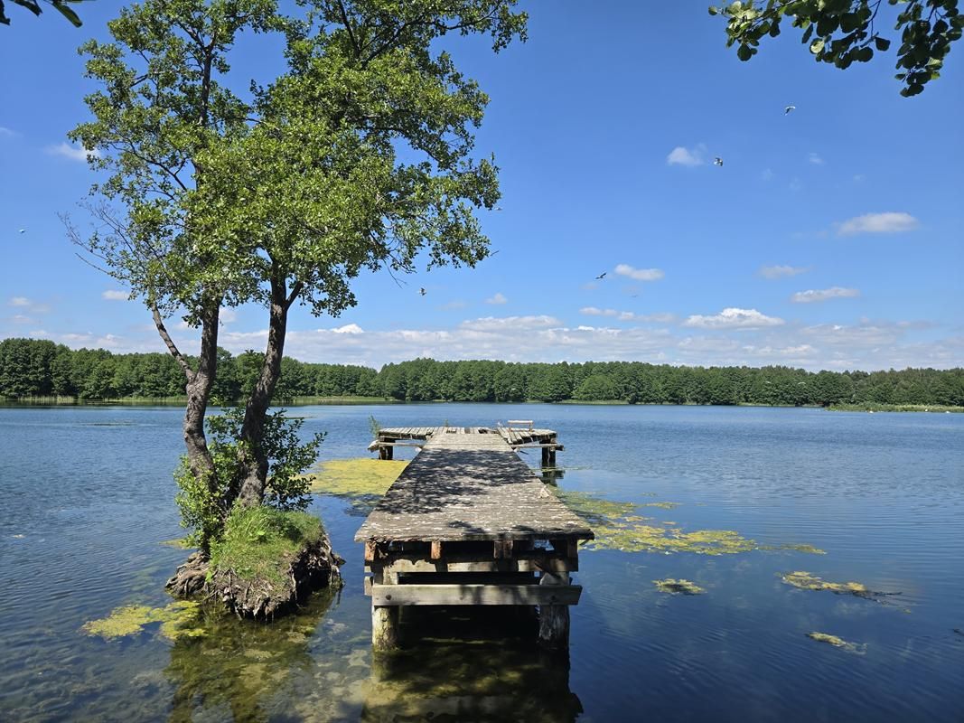 Działka budowlana Dąb Polski, ul. Liliowa. Zdjęcie 24