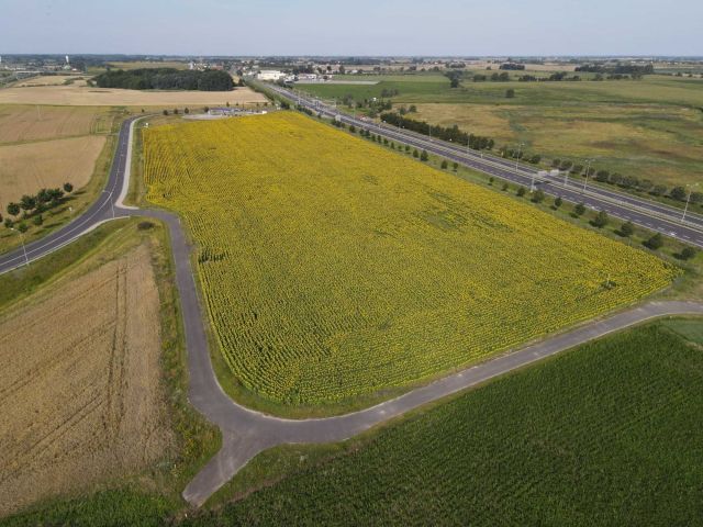 Działka inwestycyjna Woźniki. Zdjęcie 1