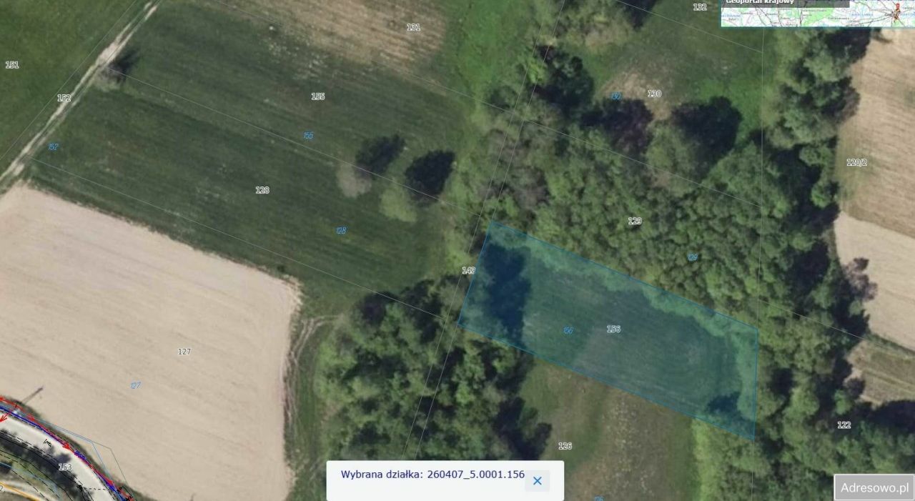 Działka rolna Czyżów. Zdjęcie 3