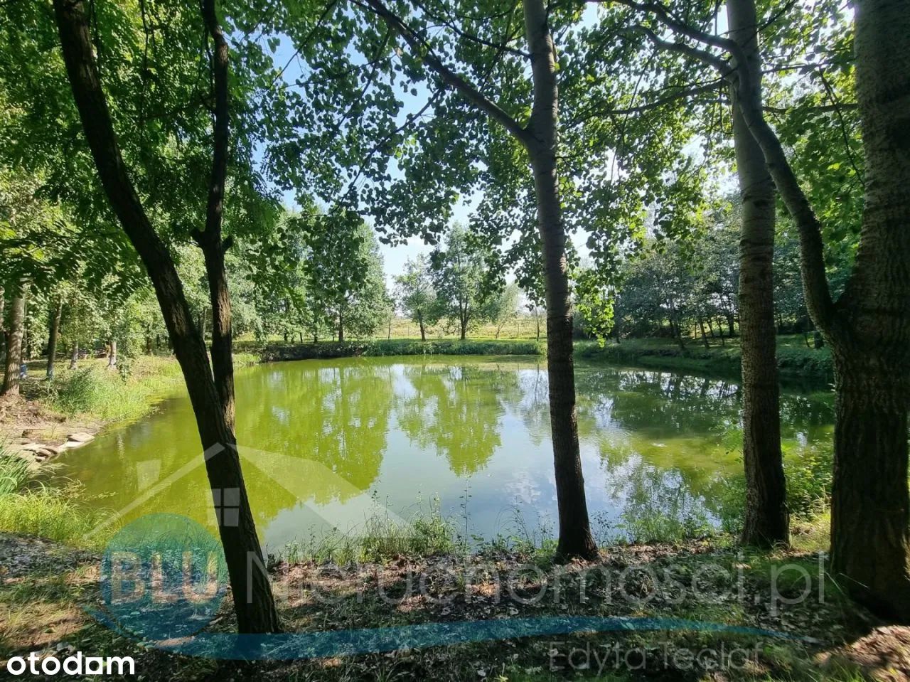 Nieruchomość komercyjna Głogów. Zdjęcie 7