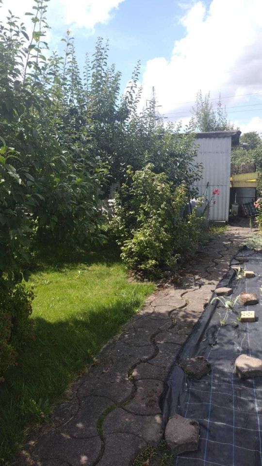 Działka rod Gniezno, ul. Kłeckoska. Zdjęcie 6