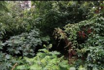 Działka budowlana Przeźmierowo, ul. Sadowa