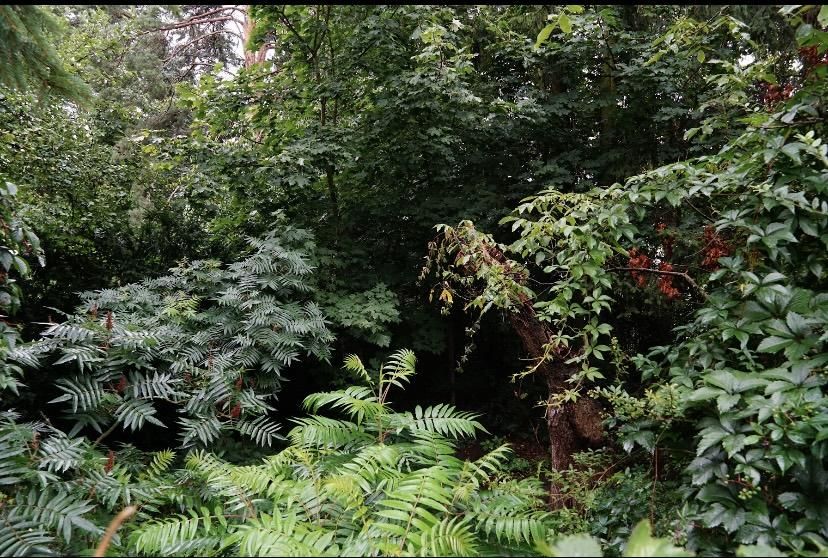 Działka budowlana Przeźmierowo, ul. Sadowa