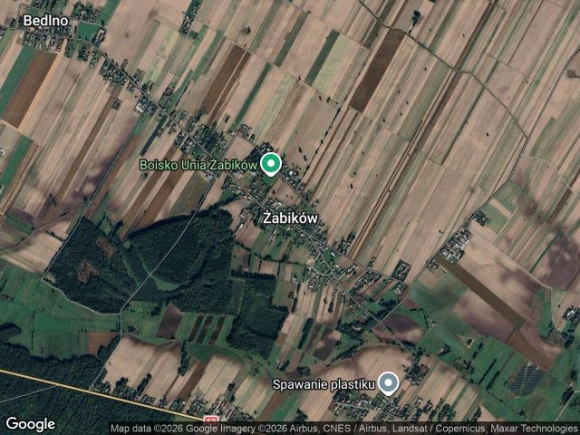 Działka siedliskowa Żabików, brak. Zdjęcie 1