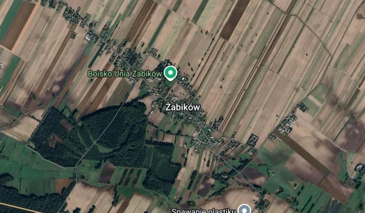 Działka siedliskowa Żabików, brak