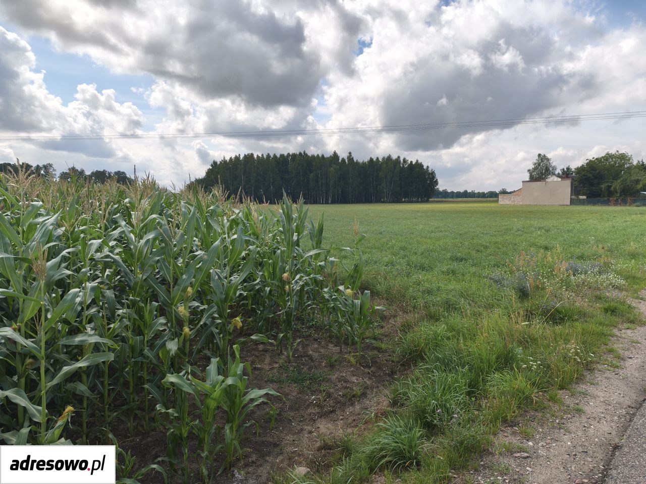 Działka budowlana Makowica. Zdjęcie 6