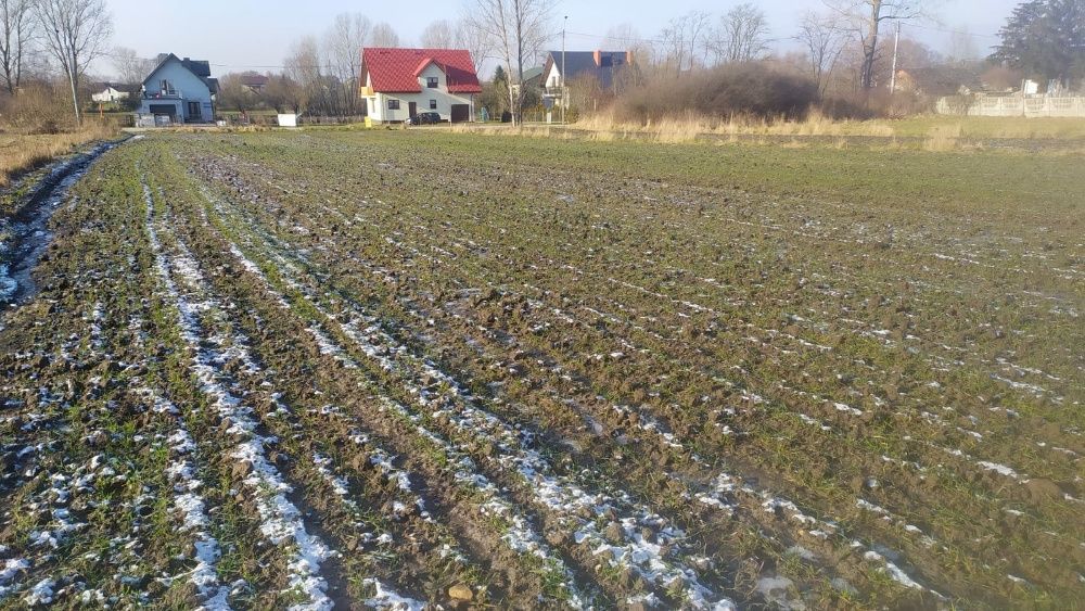 Działka budowlana Zborów. Zdjęcie 2