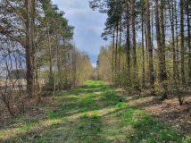 Działka budowlana Besiekierz Rudny. Zdjęcie 2