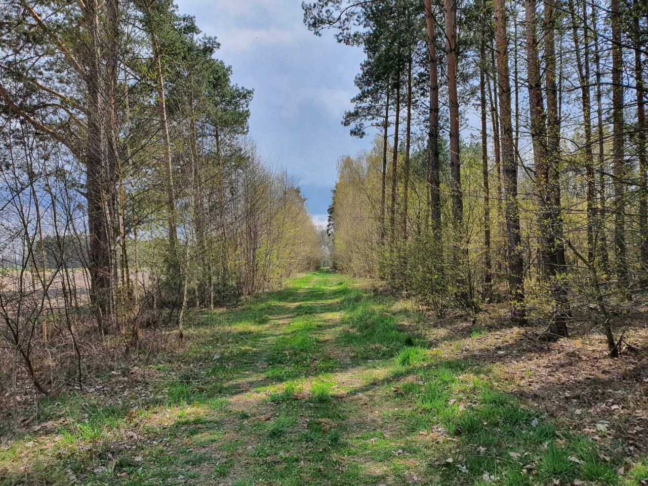 Działka budowlana Besiekierz Rudny. Zdjęcie 3