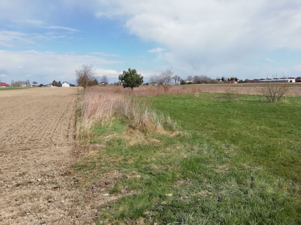 Działka rolno-budowlana Janczewice, ul. Żytnia. Zdjęcie 12