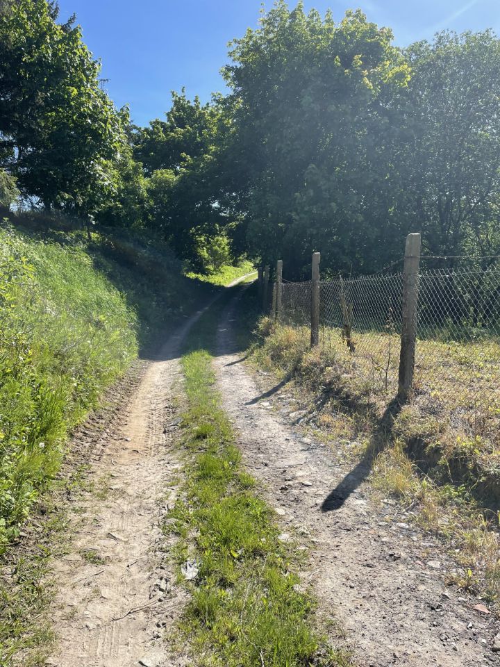 Działka rolno-budowlana Tolkmicko, ul. Morska. Zdjęcie 9