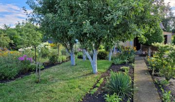 Działka rod Szczecin Wielgowo, ul. Tatarakowa