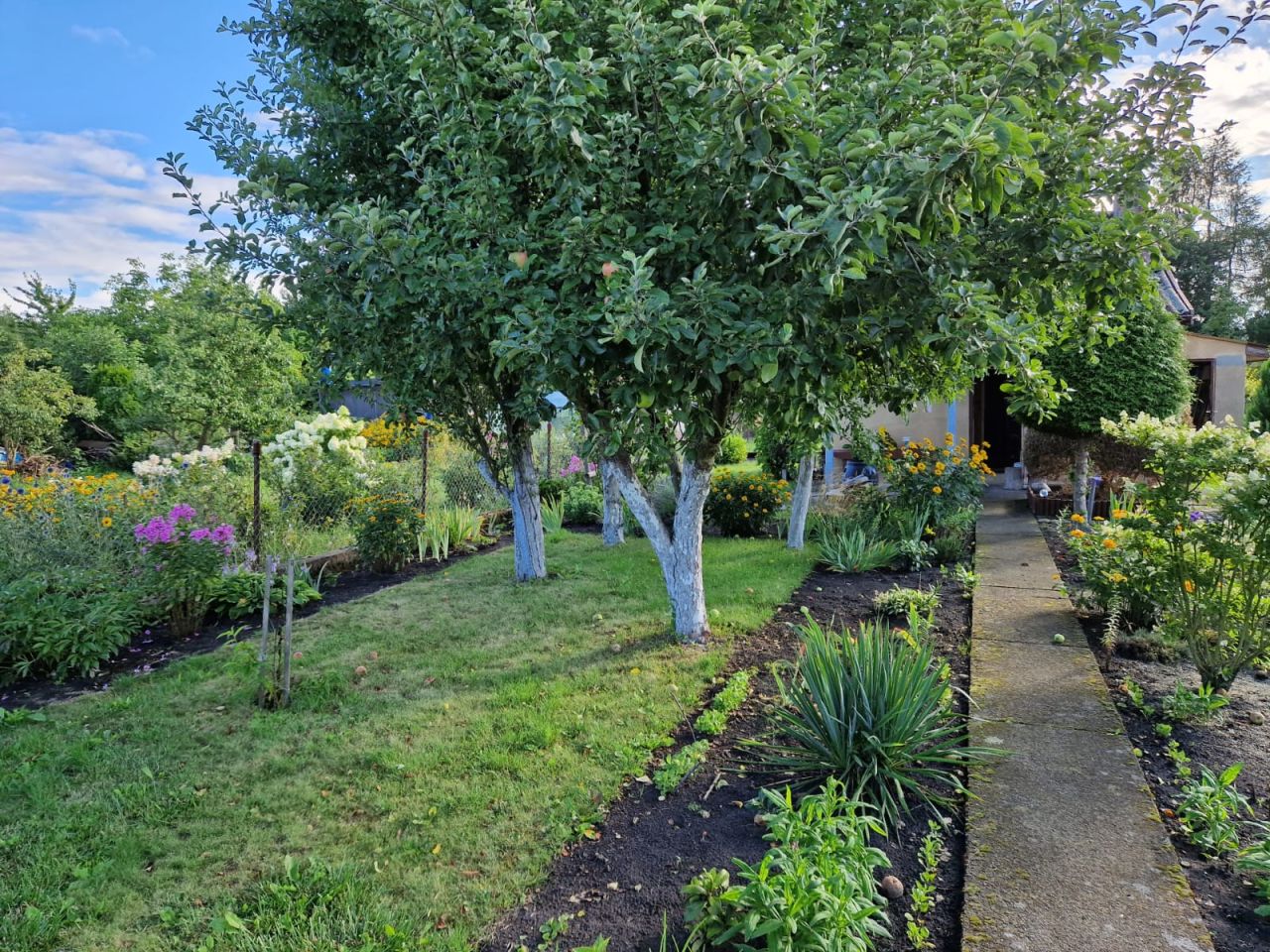 Działka rod Szczecin Wielgowo, ul. Tatarakowa