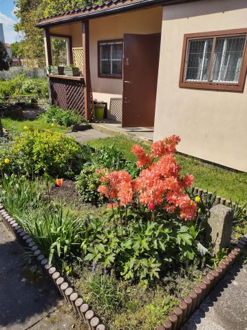 Działka rod Gdynia Obłuże, ul. płk. Stanisława Dąbka. Zdjęcie 1