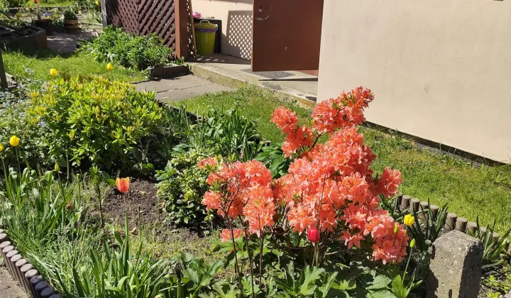 Działka rod Gdynia Obłuże, ul. płk. Stanisława Dąbka