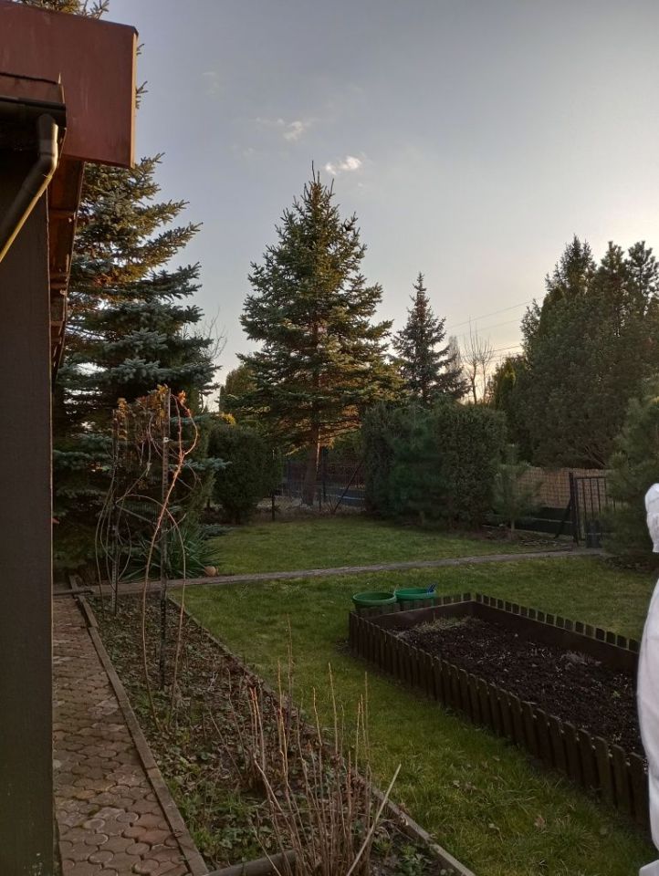 Działka rod Łódź Bałuty, ul. Pustynna. Zdjęcie 5