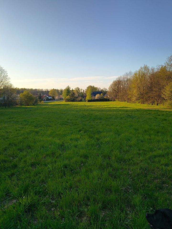 Działka budowlana Brzesko Słotwina, ul. Odrodzenia. Zdjęcie 8