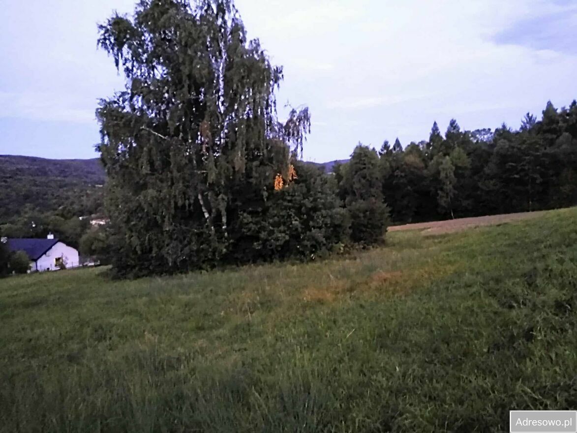 Działka budowlana Sękowa. Zdjęcie 4