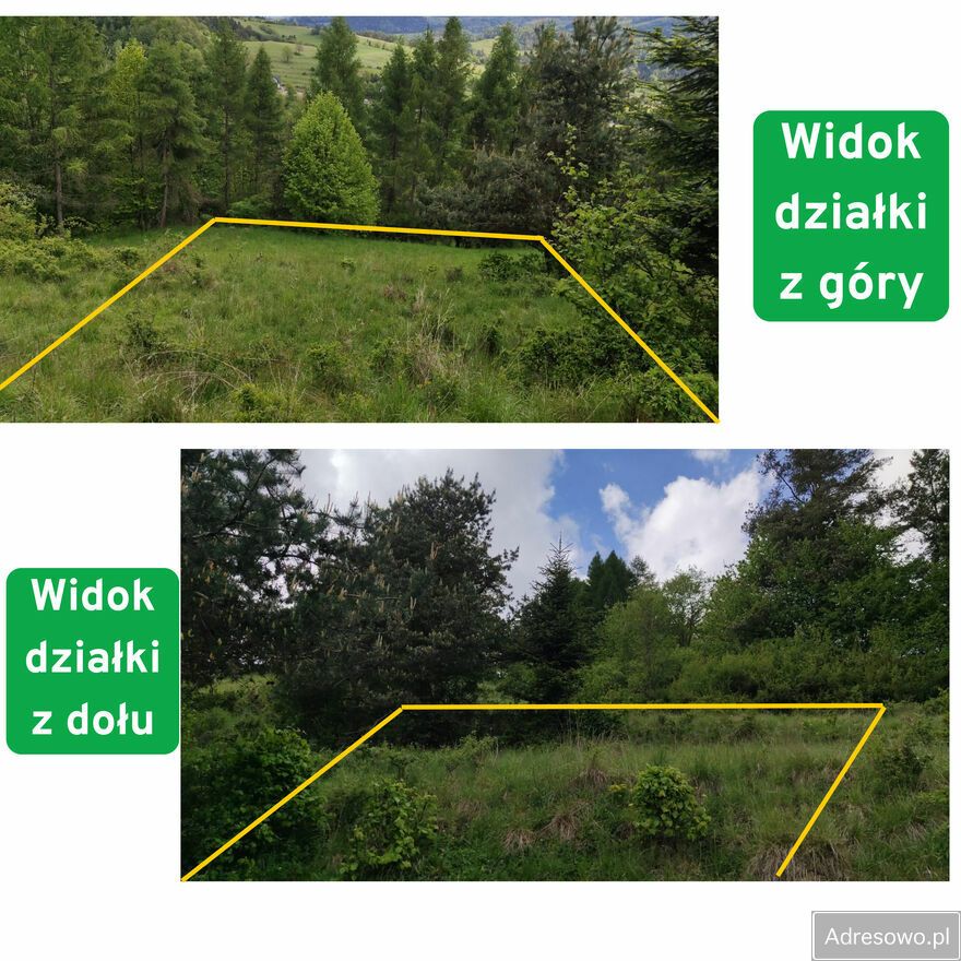 Działka rolna Szlachtowa. Zdjęcie 2