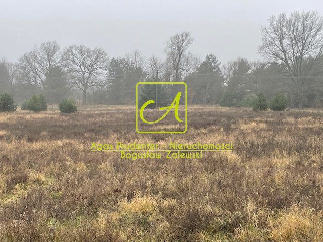 Działka budowlana Silna. Zdjęcie 3