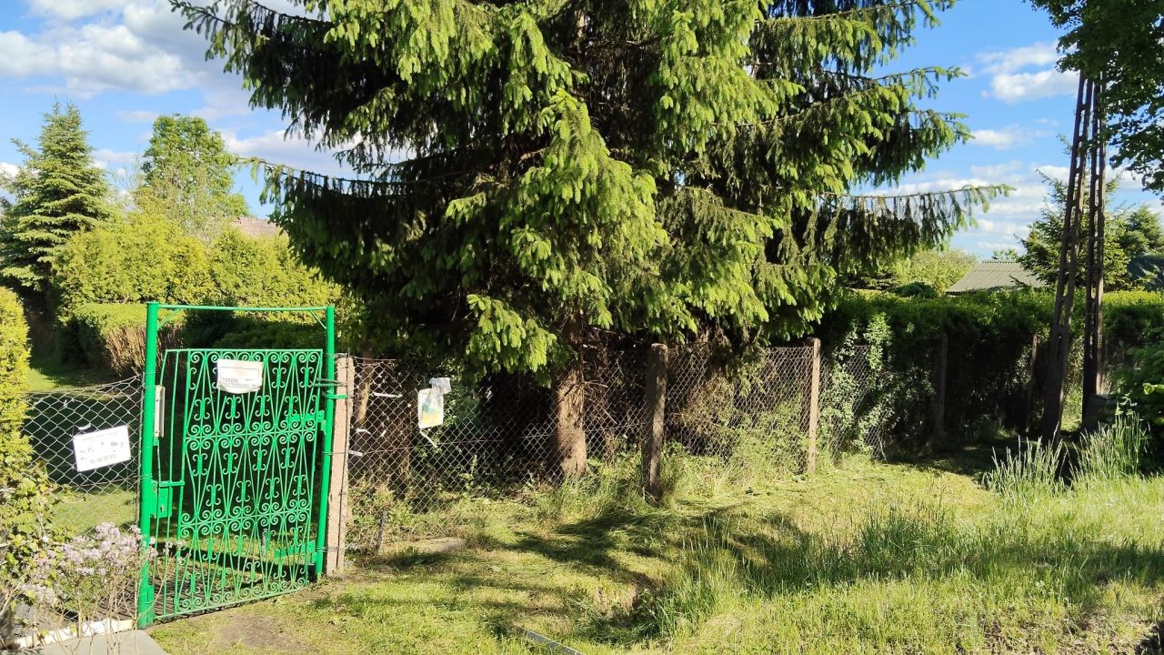 Działka rod Piła, ul. Paderewskiego. Zdjęcie 13
