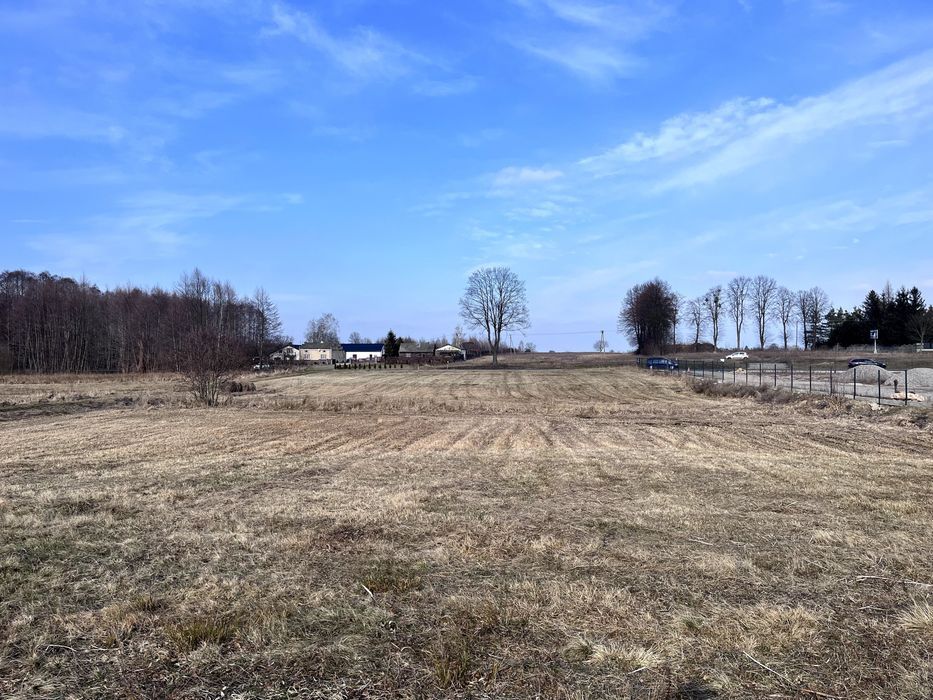 Działka budowlana Niemianowice. Zdjęcie 1