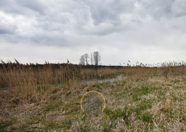 Działka rolna Giżyce. Zdjęcie 3