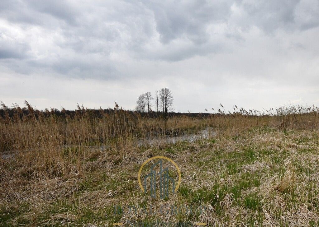 Działka rolna Giżyce. Zdjęcie 3