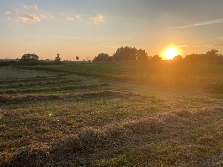 Działka budowlana Komratowo. Zdjęcie 7